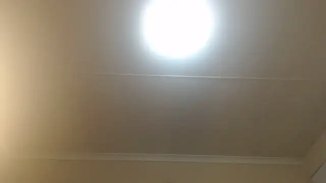 Creamyass22's Live XXX Chat