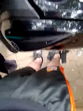 FeloBad Live XXX Chat