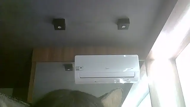 Show de webcam de SkinnyKitten