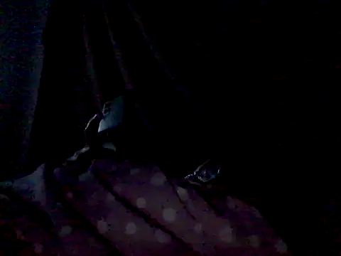 mariy_'s Webcam Show