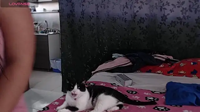 Živý XXX chat miia-big1boobs_