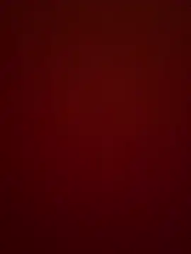 Kamillaonen Live XXX chat