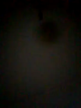 Clacla23mk élő XXX-chatje