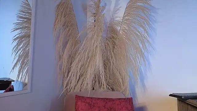 Živý XXX chat Elecktra_sweet