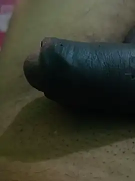 Raajaaryan Show in webcam