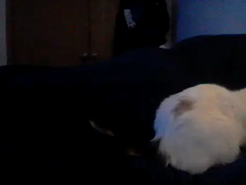 Chat XXX ao vivo de Silencio26