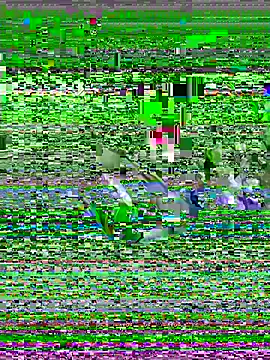 BootsAndCountryのライブXXXチャット