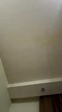 Hz1Tr Live XXX-chat