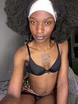 Trans_fairy Chat XXX in diretta