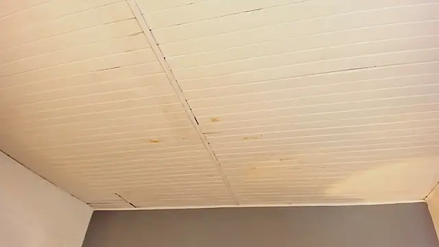 BellaBoobs_: απευθείας συνομιλία ΧΧΧ