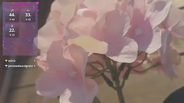vickvalencia2 XXX чат на живо
