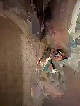 12inchforreal live XXX chat