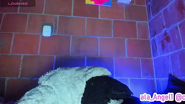 Cata-angel Chat XXX in diretta