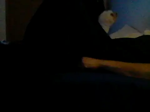 Chat XXX en directo de Silencio26