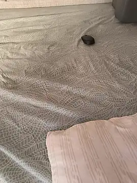 XXX chat uživo modela basima_haik