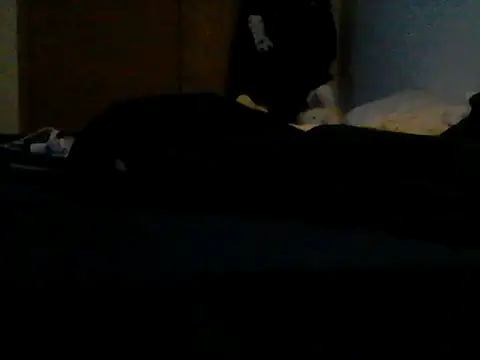 Show webcam de Silencio26