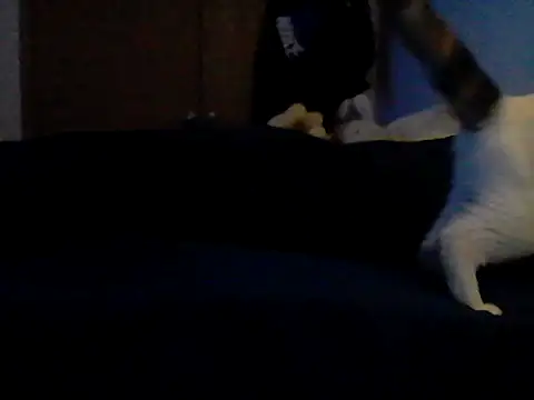 XXX chat uživo modela Silencio26