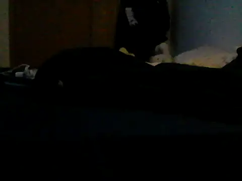 Show Webcam de Silencio26