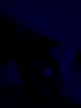 AdultAgency's Live XXX Chat