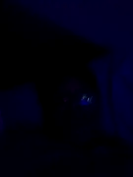 AdultAgencyのウェブカメラショー