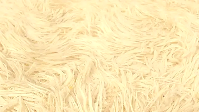 Julieta_J 现场XXX聊天