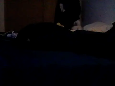 Silencio26 Chat XXX live