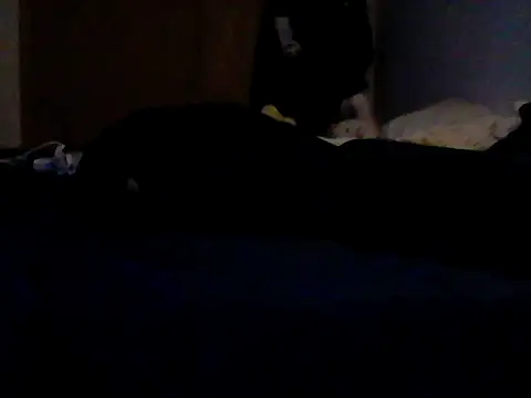 Chat XXX en directo de Silencio26
