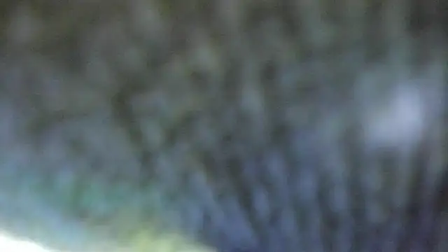 celeste_hatman's Live XXX Chat