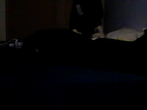 Silencio26 webcam show