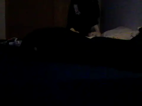 Silencio26 webkamerás műsora