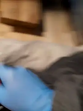 Živý XXX chat lambi123