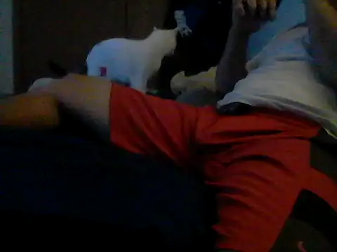 Silencio26's Live XXX Chat