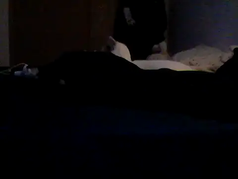 Silencio26's Live XXX Chat