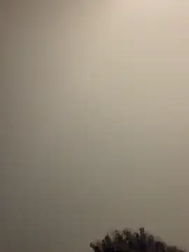 pnaastyyy লাইভ XXX চ্যাট