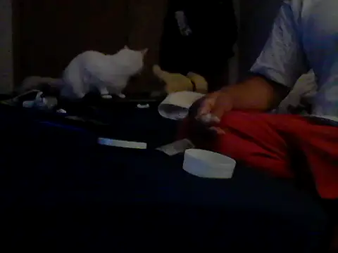 XXX chat uživo modela Silencio26