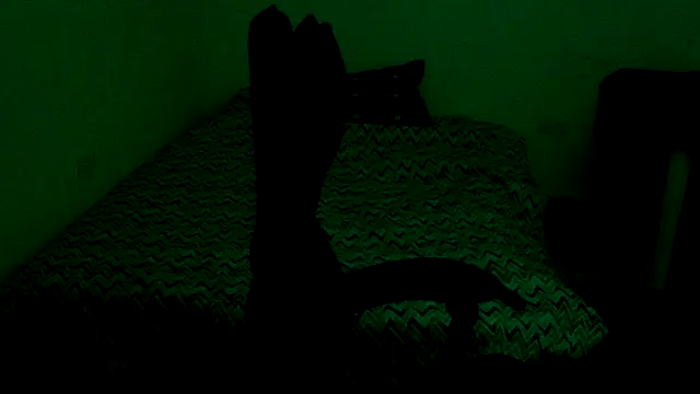 Bandida553 live XXX chat