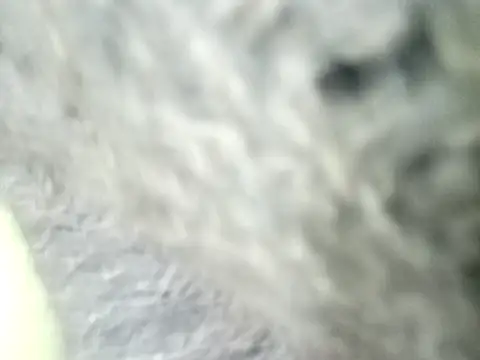ChantalXOrchid XXX чат на живо