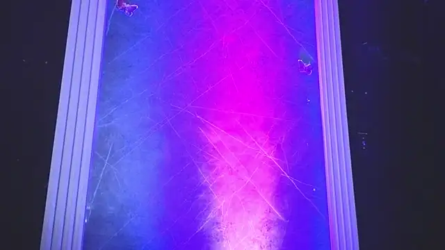 haileycat Chat XXX live