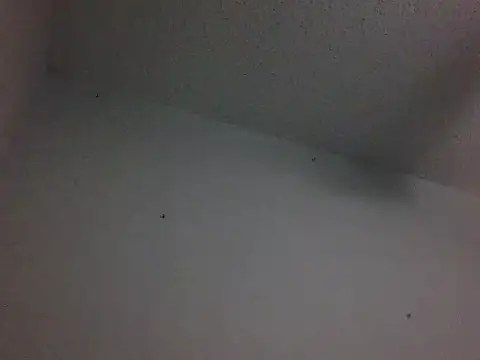 Webkamerová show Owlpow