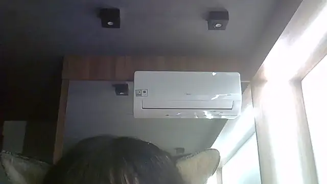 Show de webcam de SkinnyKitten