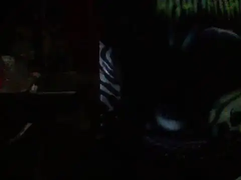 Show de webcam de mrdemoncrowly