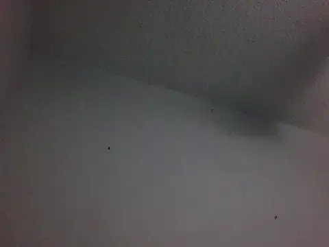 Owlpow's Webcam Show
