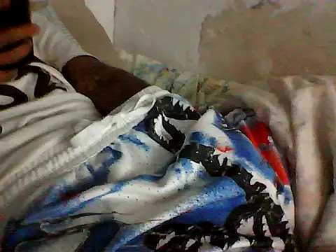 Show de webcam de PAUBRASIL021