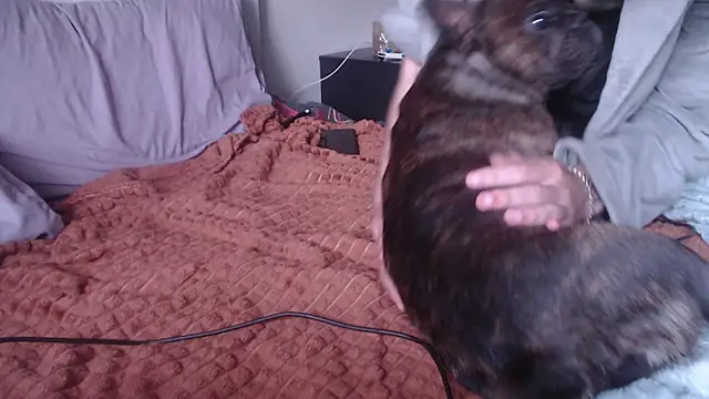 Samuel_Skywalker – Naživo XXX chat