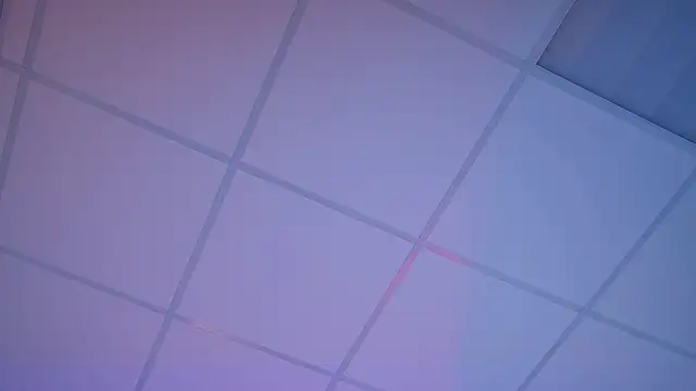 צ'אט XXX בשידור חי של FlexyFox