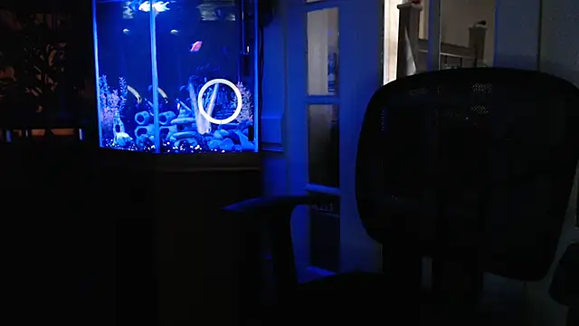 Pertunjukan Kamera Web EspanolVato