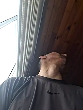 Nachosexy 现场XXX聊天