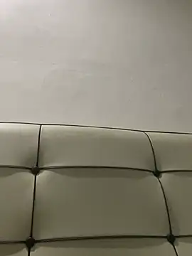 EVO3573 Webcam-Show