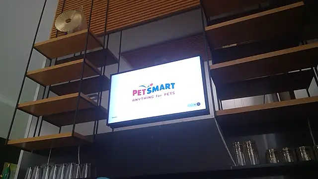 Pokazy przed kamerką – forfunsies