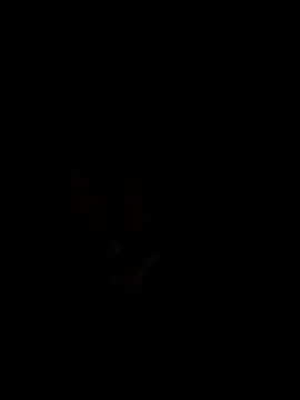 Kee2000 现场XXX聊天